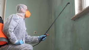 Best Biohazard Mold Removal  in Shil, OH