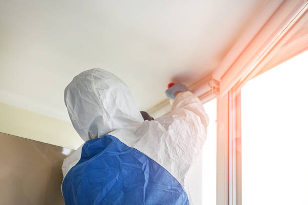 Trusted Shiloh, OH Mold Removal Services Experts